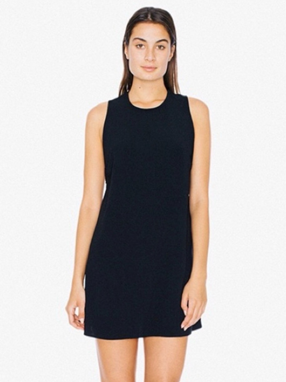 American Apparel Dakota Dress